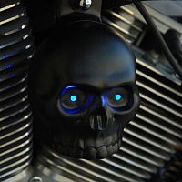 ������� �� ����������� ��� ����������
��������: dull-blk-skull-leds-400x400.jpg
����������: 94
������:	34.0 ��
ID:	7496